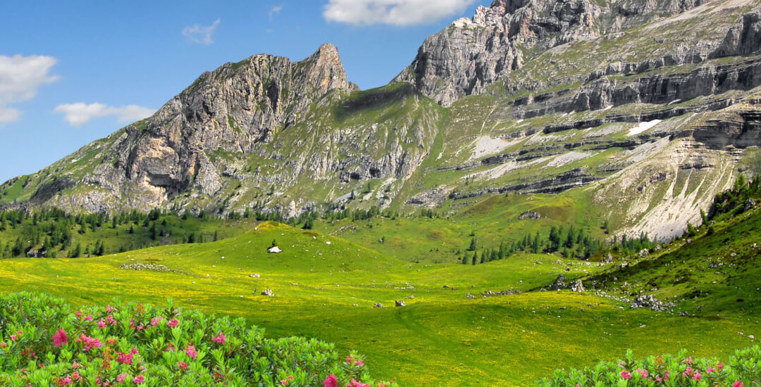 A giugno vieni a scoprire le Dolomiti di Brenta!