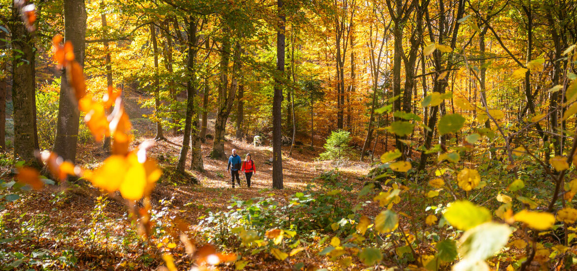 Autunno_ph.-Filippo-Frizzera-1-1170×550