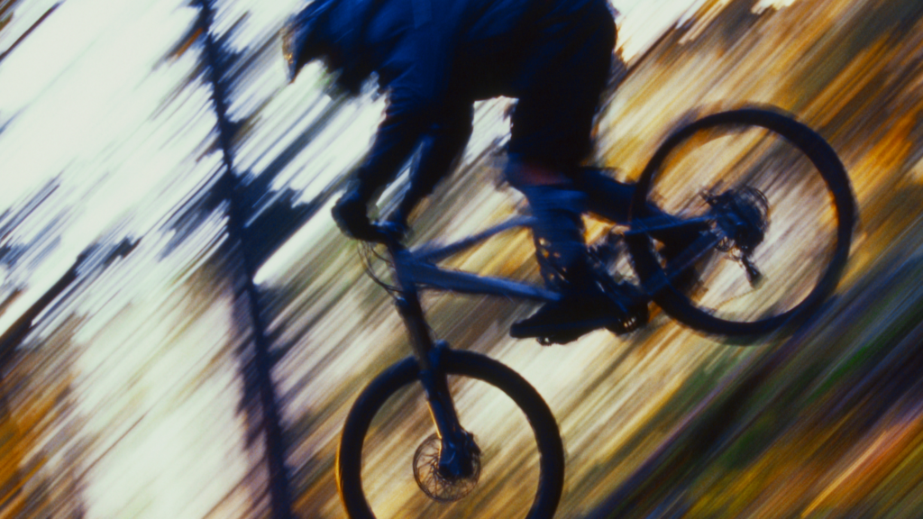 downhill andalo