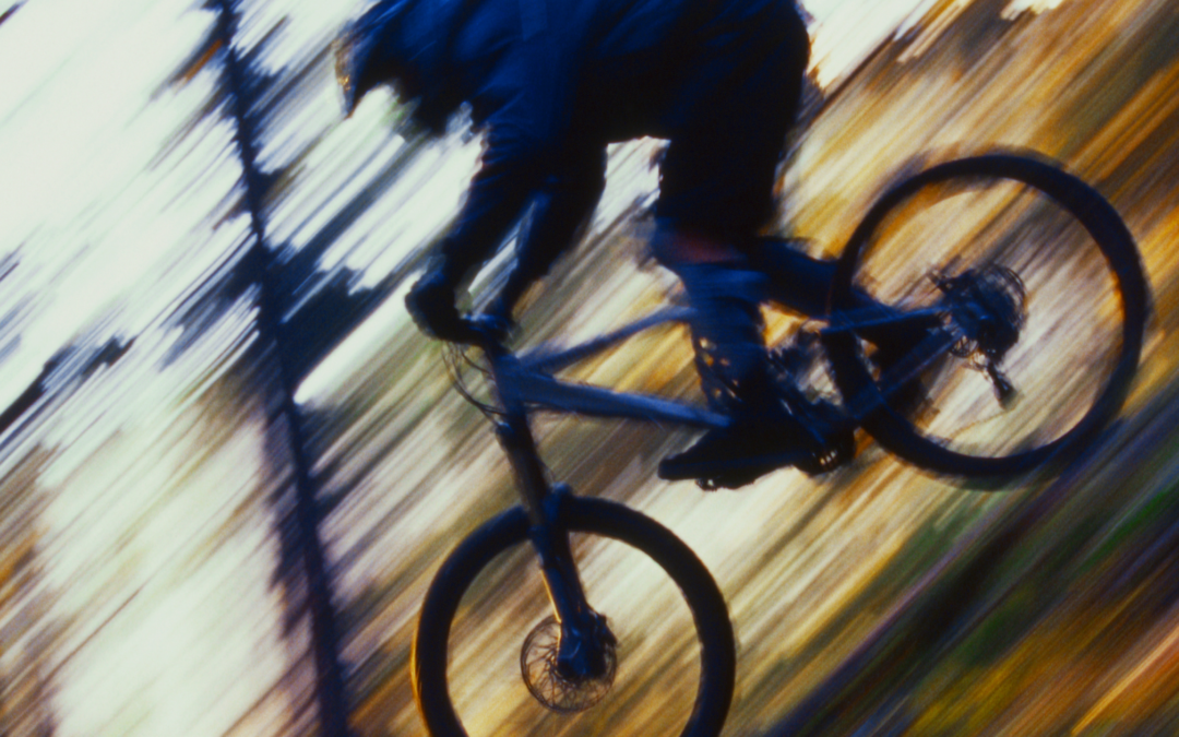 Downhill Andalo: guida ai tracciati per esperti e intermedi
